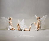 Enchanted Fairy Garden Set: Door & Window, Zephora Fairy, Couple Deer & Mini Moss